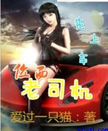 未婚生子小说