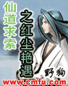 红色电视剧全集