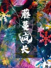 西安二炮