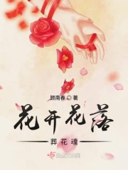 飞极速在线飞极速官网