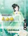明星系列txt