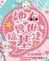 极品家丁 txt