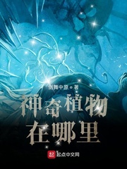 绝命毒师第五季