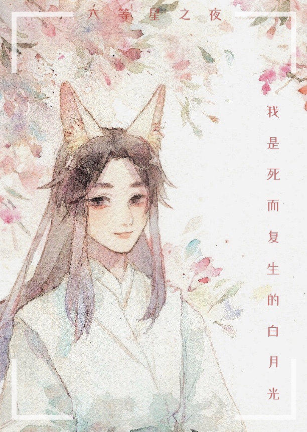 午夜专区