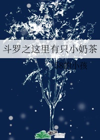 假面骑士exaid全集免费观看