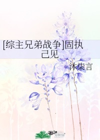 两个老公