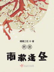 网页升级访问每天更新中