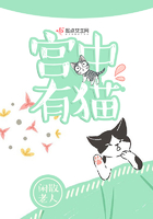 胖女性大bbbbbb
