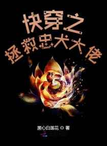 公主嫁到