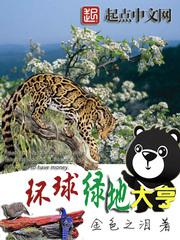航海王启航女帝礼包