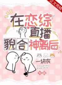 江辰唐楚楚小说最新章节自制小包包