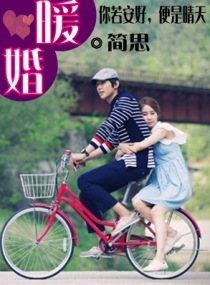 GL肉类高速车