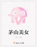 西门子燃气灶