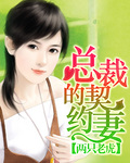 galgame资源