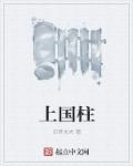琪琪se