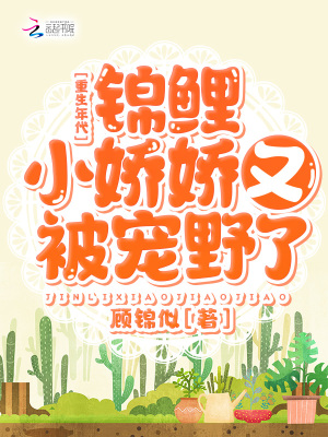 明清禁毁小说