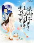 鸡毛飞上天55集全集观看免费