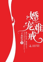 王者荣耀女英雄h图