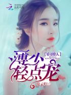 欢乐颂2小说
