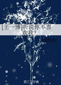 宠物连连看3.1在线玩