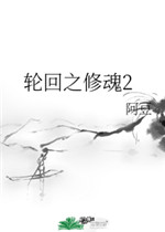 我的风流岳母