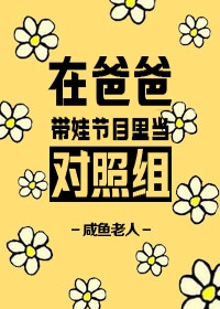 一品道门在线视频完整版日本