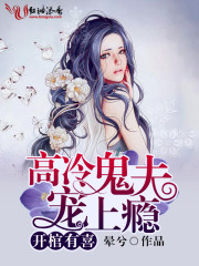 碧血丹心第三部全集