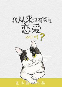 97精品视频在线观看