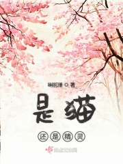 宝贝舅舅