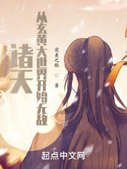 都市美艳后宫续写