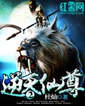 大理寺卿小说