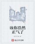 鸭之一族