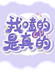婢女情史高清完整版
