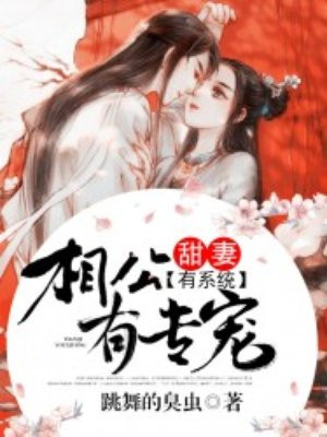 透视赌石类小说