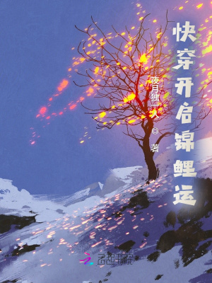国富产二代破解版