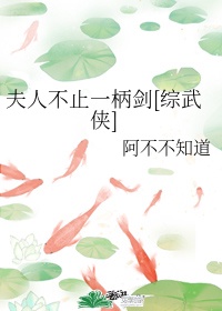 诱人的飞行完整版手机