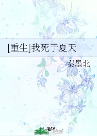 供品夫人在线观看