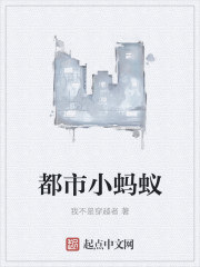 哈利波特与密室小说