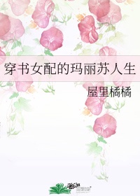 马永贞金城武完整版