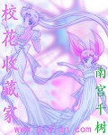 雪箭网