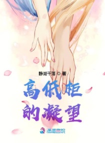 藏羚王