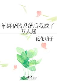 重生之雍正王朝