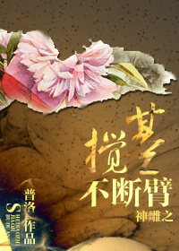 小说半吟