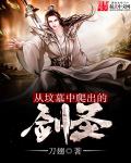红颜动漫免费观看动漫完整版