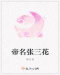 风流婆媳共一夫小说