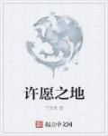 高N车多肉多轮沉青桓