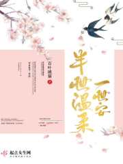 91轻量版ios描述文件最新