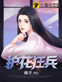 霹雳谜城
