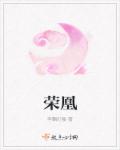 华丽一族动漫