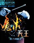 喋血劫花电视剧在线观看免费高清国语
